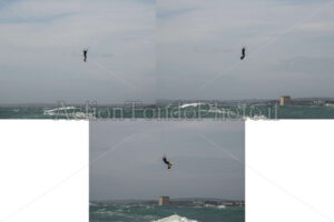 10 - ACTION TONDOPHOTO